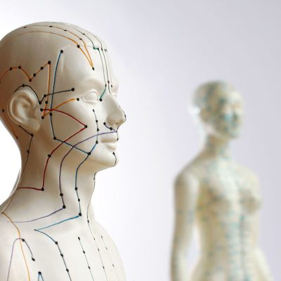 Two acupuncture models - Focus on male